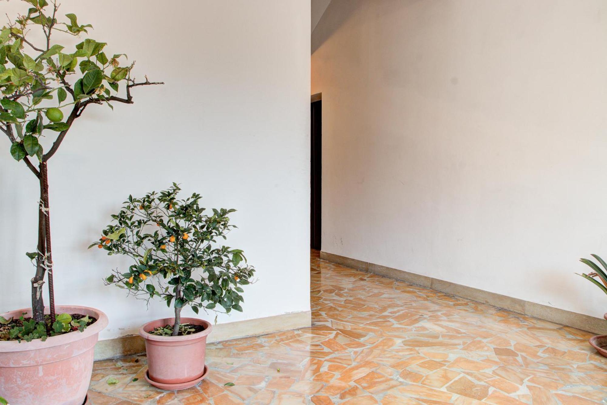 Casa Emilia Lägenhet Volterra Exteriör bild